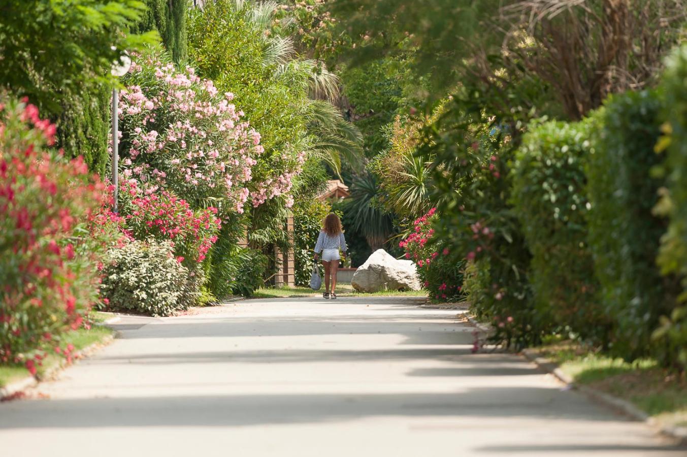 L'Hotel Du Mediterranee Argelès-sur-Mer Eksteriør billede