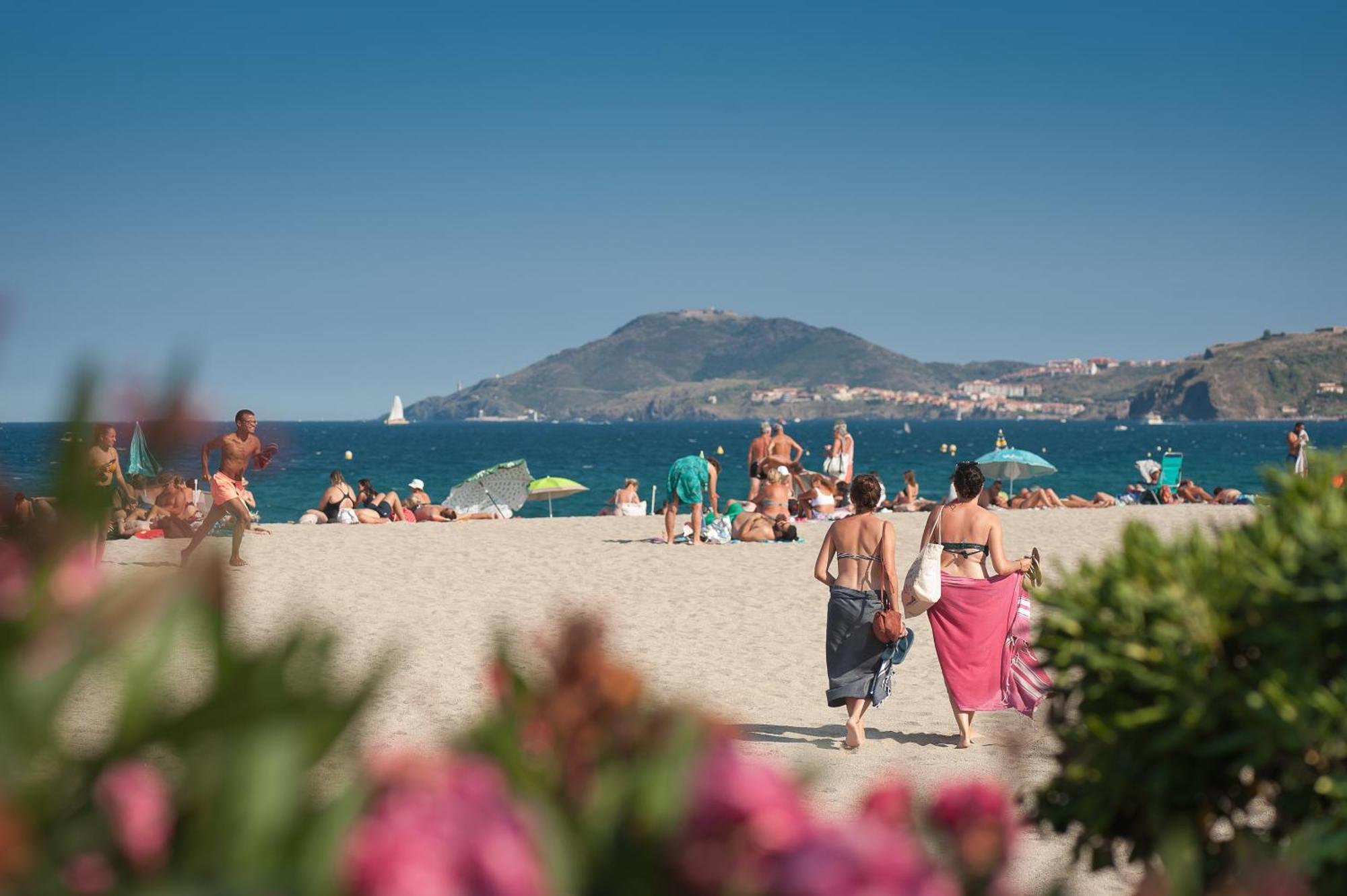 L'Hotel Du Mediterranee Argelès-sur-Mer Eksteriør billede