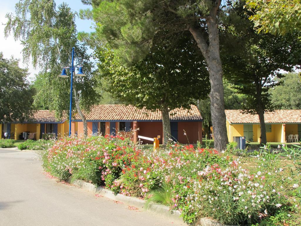 L'Hotel Du Mediterranee Argelès-sur-Mer Eksteriør billede