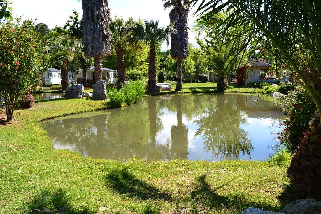 L'Hotel Du Mediterranee Argelès-sur-Mer Eksteriør billede